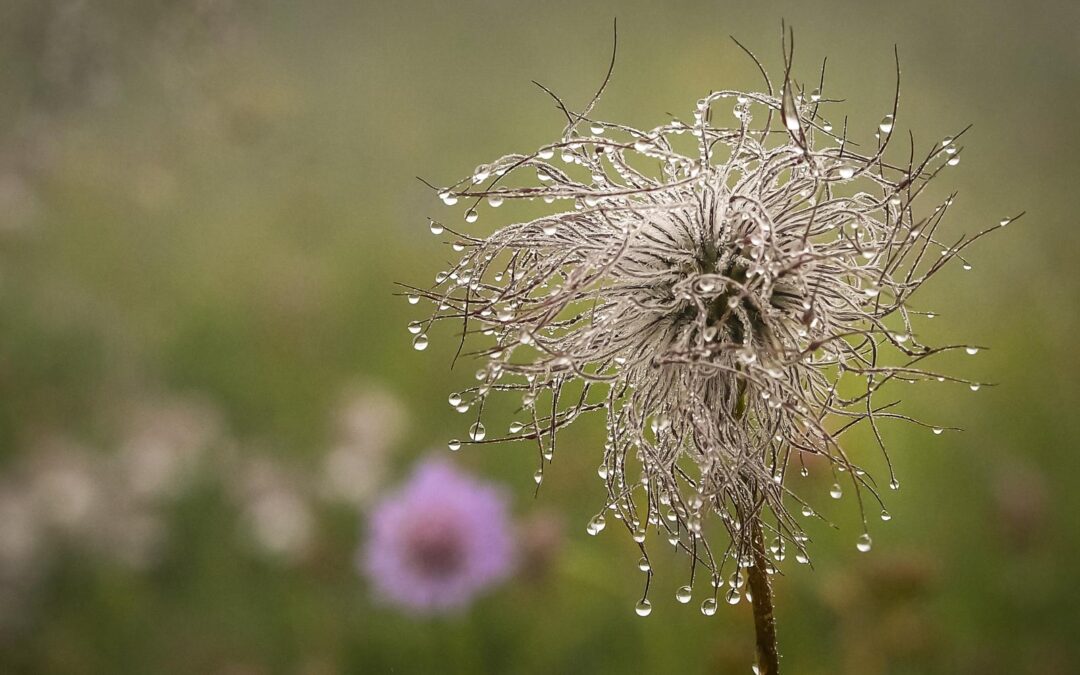 Spiritualität – Das Unsichtbare im Sichtbaren