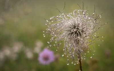 Spiritualität – Das Unsichtbare im Sichtbaren