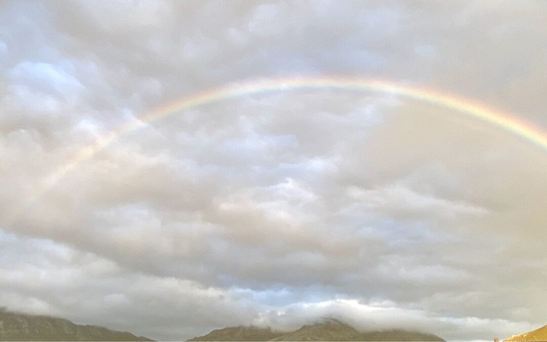 Ahnen – Die Geschichte, die uns prägt